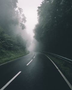 A road with trees and fog on the side.