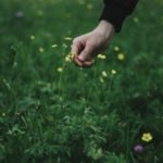 A person holding onto some flowers in the grass